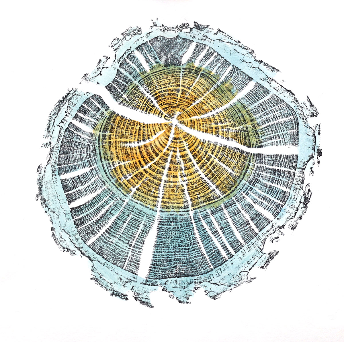 Shona Branigan Tree ring Print Caxton Damson (small)