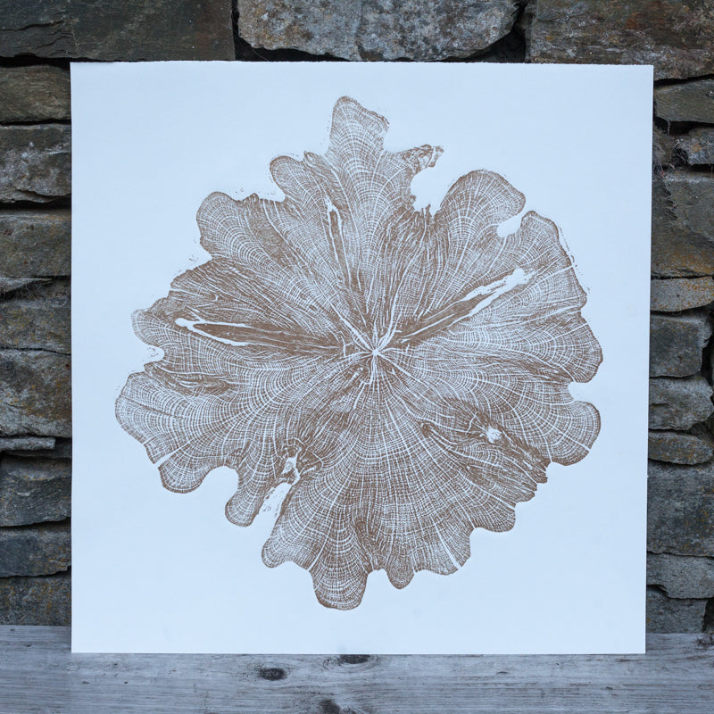 Shona Branigan Tree Ring Print Northumberland Yew 1913-2018 (B)