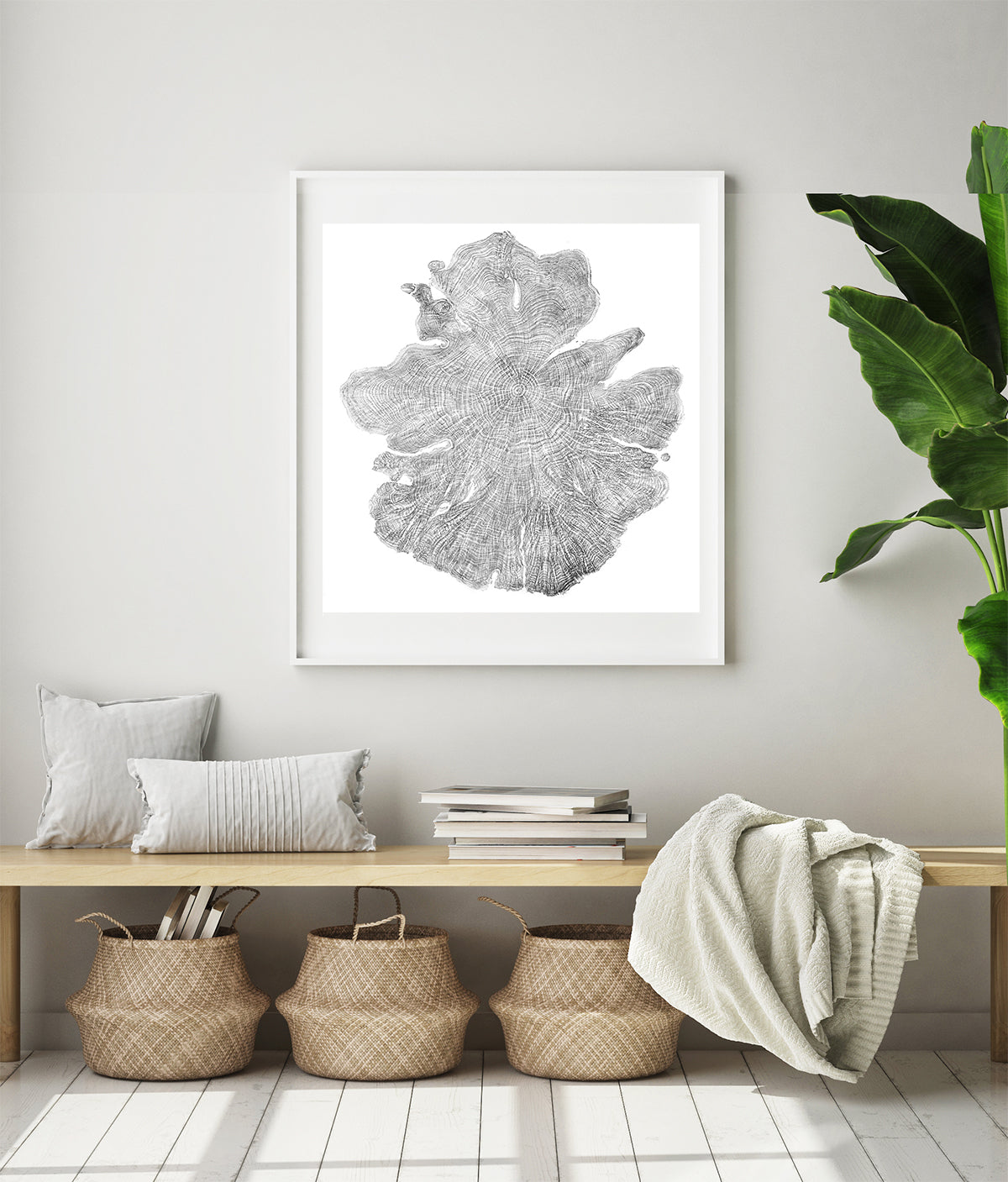 Shona Branigan Tree Ring Print Kirby Alder