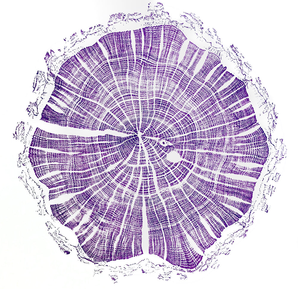 Tree printing Workshop 27th November 2026