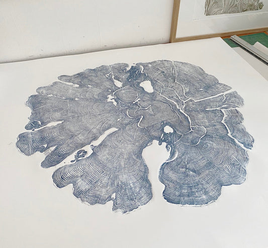 Shona Branigan Tree Ring Print Allen Banks Yew 1822-2018