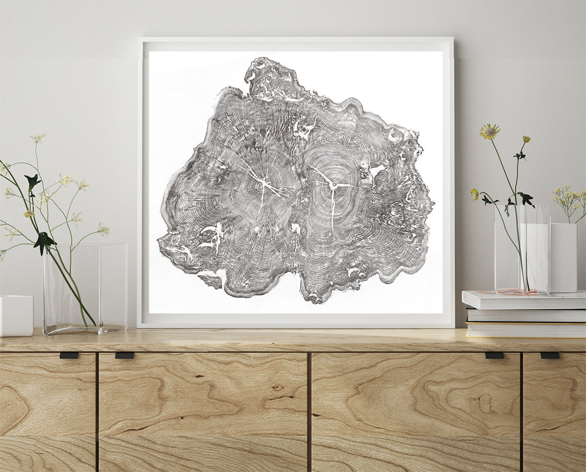 Shona Branigan Tree Ring Print Wray Castle Yew