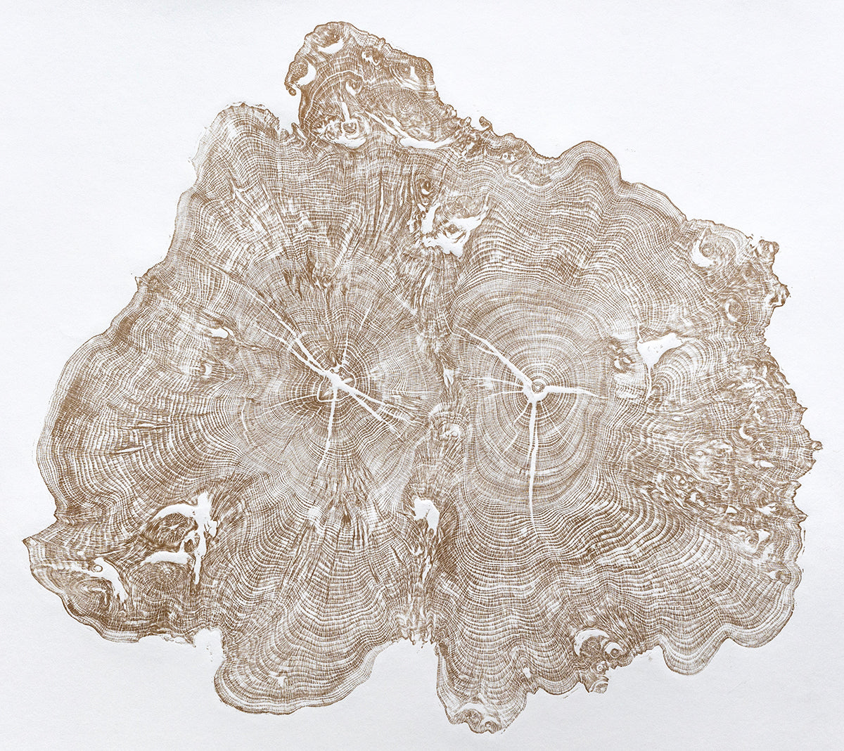 Shona Branigan Tree Ring Print Wray Castle Yew