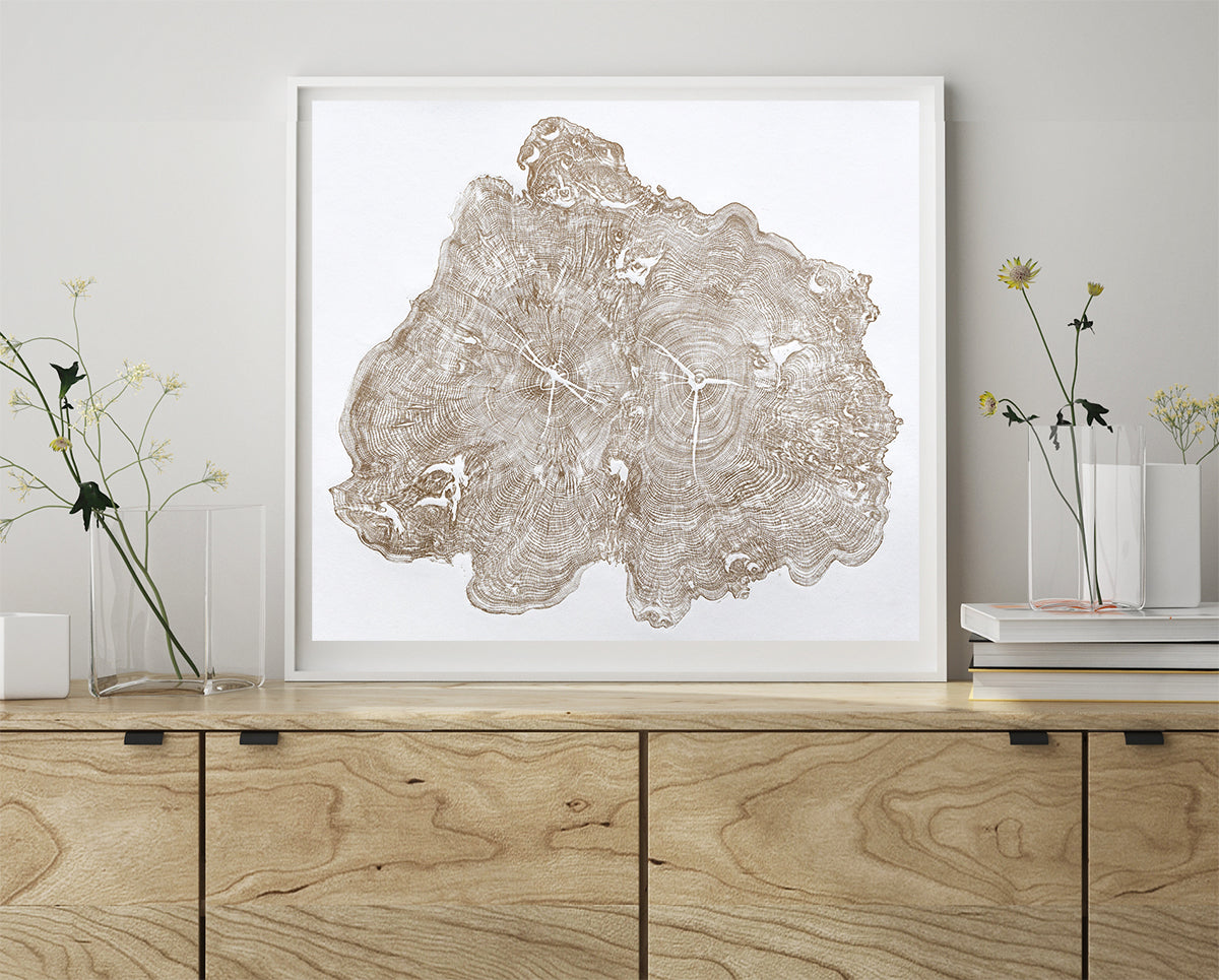 Shona Branigan Tree Ring Print Wray Castle Yew