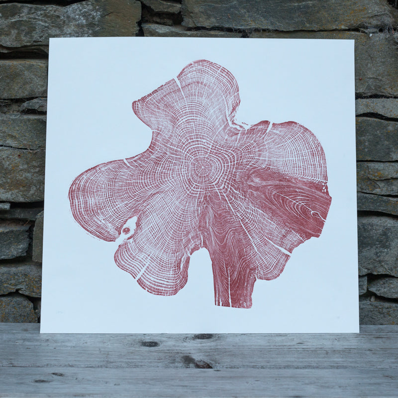 Shona Branigan Tree Ring Print Northumberland Yew