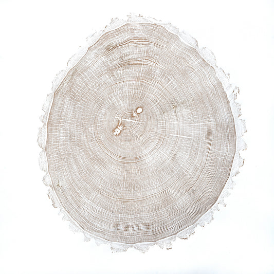 Shona Branigan Tree Ring Print (B) Swaledale Ash